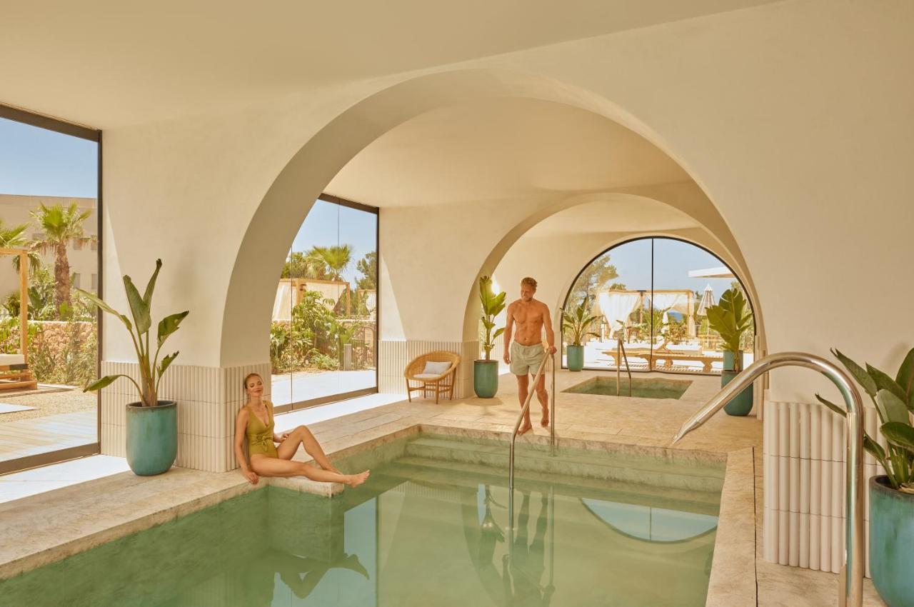 Suite Estudio Signature Level